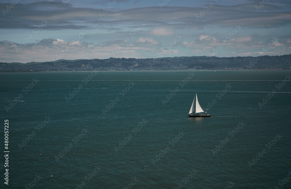 sailboat in the san francisco bay