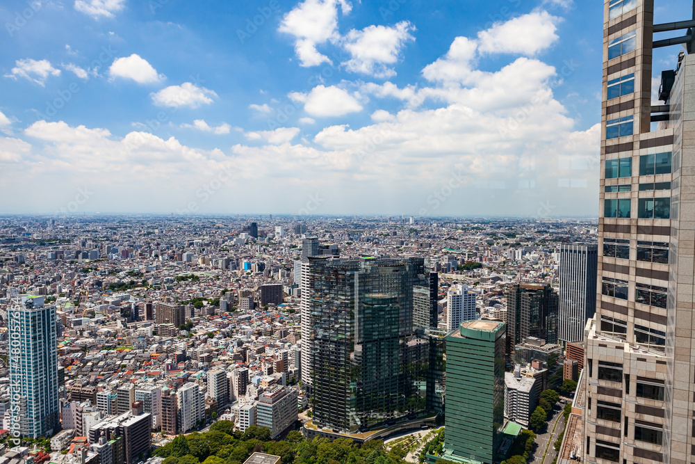Aerial panoramic view of the skyscrapers in Tokyo