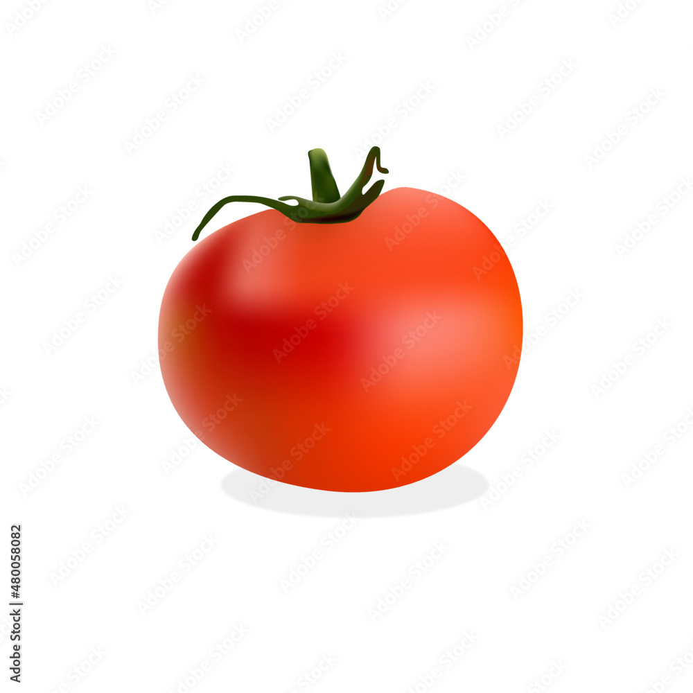 Realistic juicy tomato, red vegetable, vector illustration 3d Realistic juicy tomato, red vegetable, vector illustration 3d