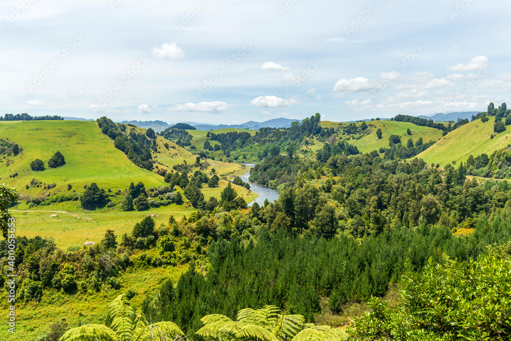 Obraz premium Whanganui river view from Piriaka lookout on State Highway 49 in New Zealand