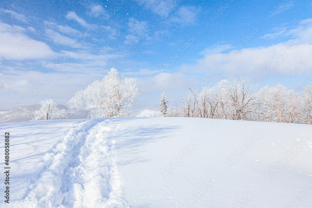 Ski trail between the snow-covered trees on Sakhalin island mountains during the snowfall on a sunny day