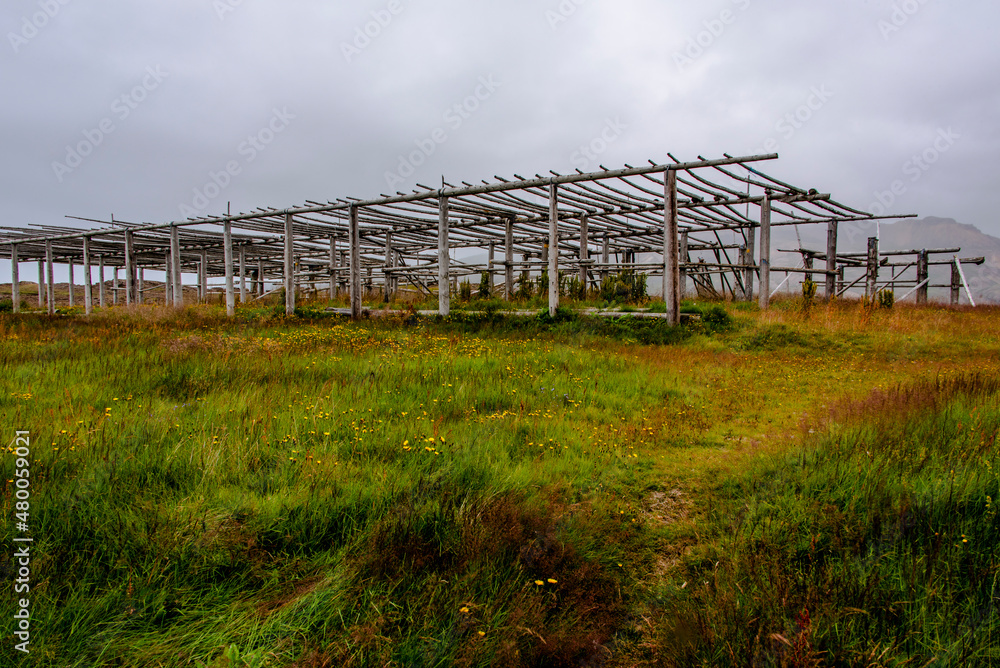 2021 08 16 Borgarfiordur Eystri Fish dryer