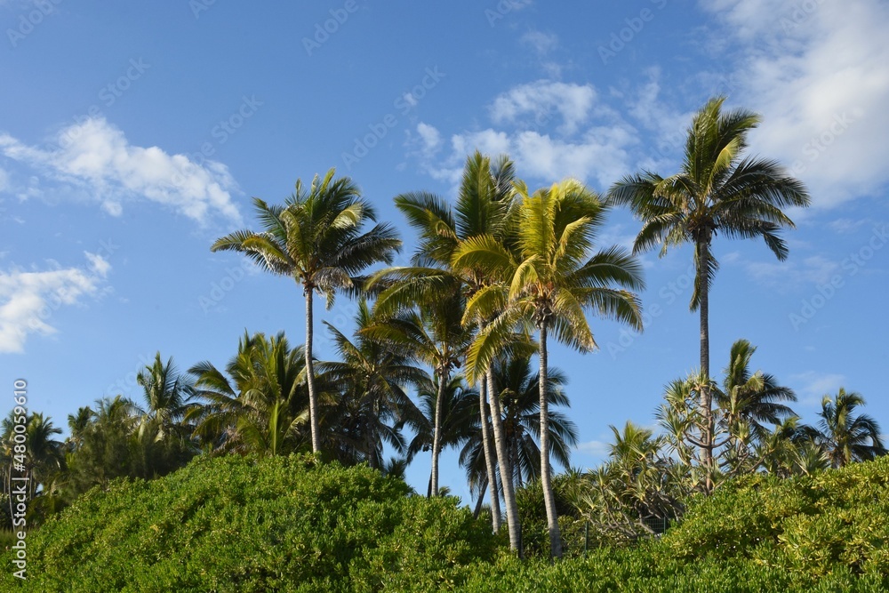 Western coast (côte ouest) île de la Réunion, Océan Indien