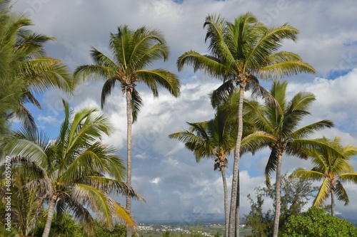 Western littoral (côte ouest) île de la Réunion, Océan Indien