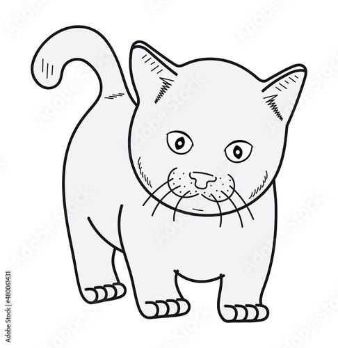 Cat vector. illustration  cartoon drawing.