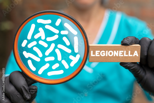 Medical concept of legionella test. Legionella pneumophila bacteria in human lungs - causative agent of legionnaire's disease. Pneumonia disease diagnosis. photo