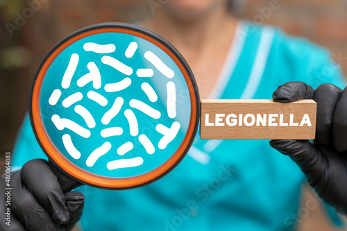 Medical concept of legionella test. Legionella pneumophila bacteria in human lungs - causative agent of legionnaire's disease. Pneumonia disease diagnosis.