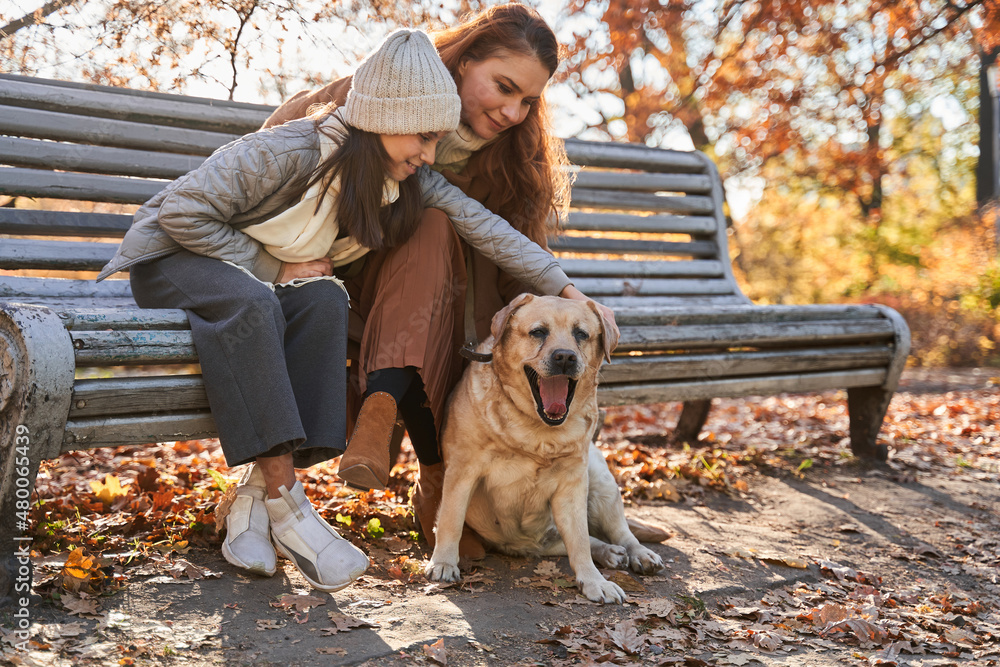 Teen girl stroking her happy dog while sitting at the bench with her mother