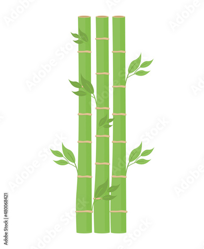 green bamboo design © grgroup