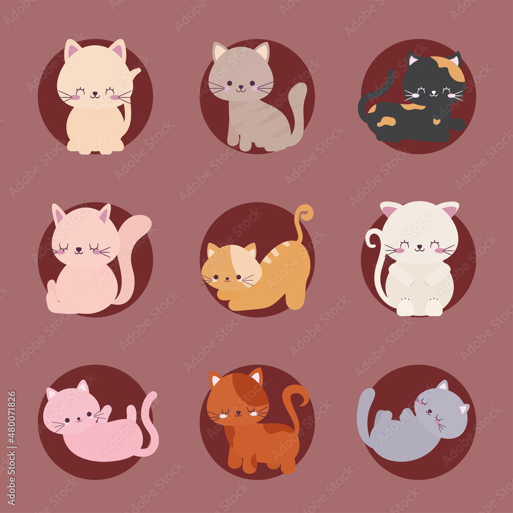 nine cute cats nine cute cats
