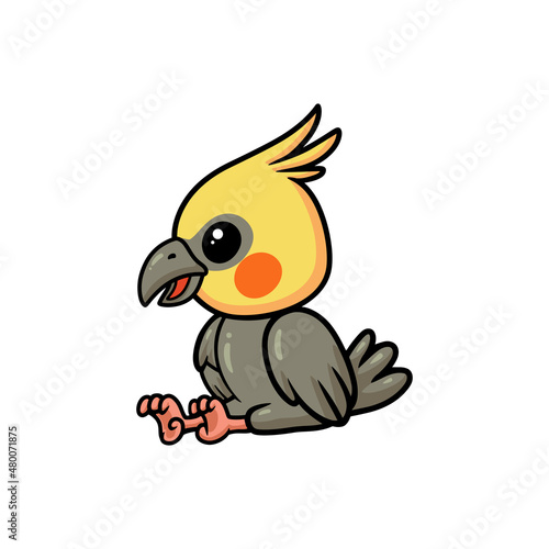 Cute little cockatoo cartoon sitting