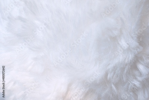 white fur texture abstract feather background