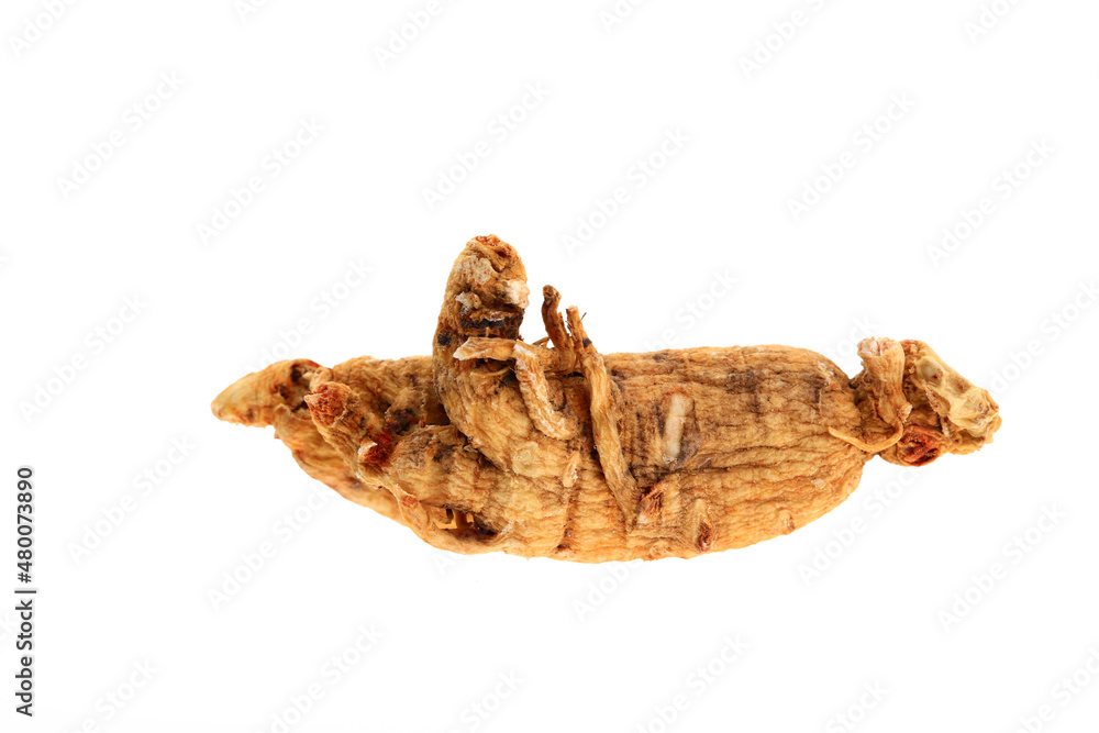 Ginseng on a white background Ginseng on a white background
