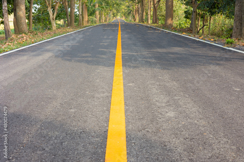 Low angle view of concrete road with yellow line in the long way as perspective background shows beautiful trees and sunlight in the morning in the park for people walking during summer time.