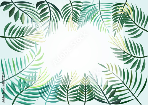 Palm tree leaves frame border drawing graphic design vector background template