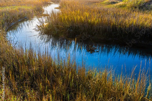 House Creek and Salt Grass of Cherry Grove Marsh, Heritage Nature Preserve, Myrtle Beach, South Carolina, USA