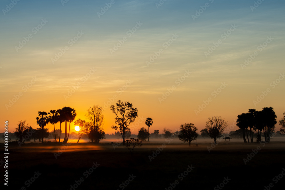 silhouette tree in thailand with Sunrise.Tree silhouetted against a setting sun.Dark tree on open field dramatic sunrise.Typical thailand sunset with trees in Khao Yai National Park, Thailand