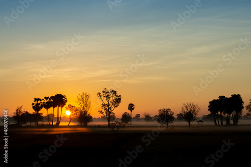 silhouette tree in thailand with Sunrise.Tree silhouetted against a setting sun.Dark tree on open field dramatic sunrise.Typical thailand sunset with trees in Khao Yai National Park, Thailand © stcom