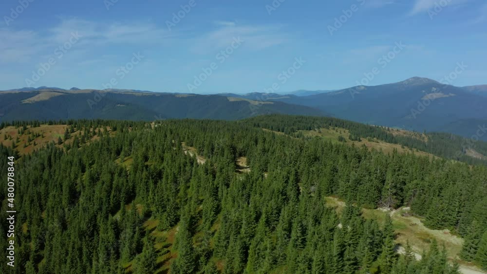Aerial forest hills view charming green woods against blue morning sky landscape Aerial forest hills view charming green woods against blue morning sky landscape