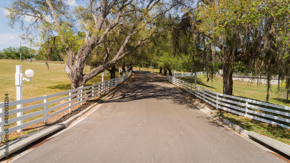 Scenic view under the ancient oaks at Highland Manor wedding venue in Apopka, FL.