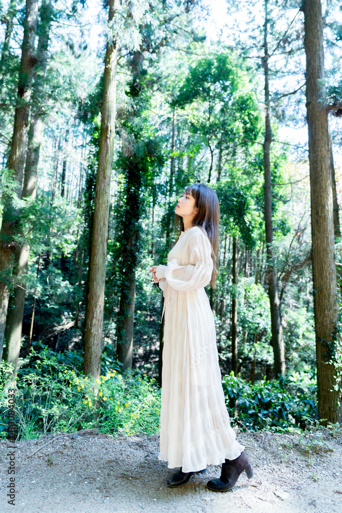 Fototapeta premium 美しい日本女性