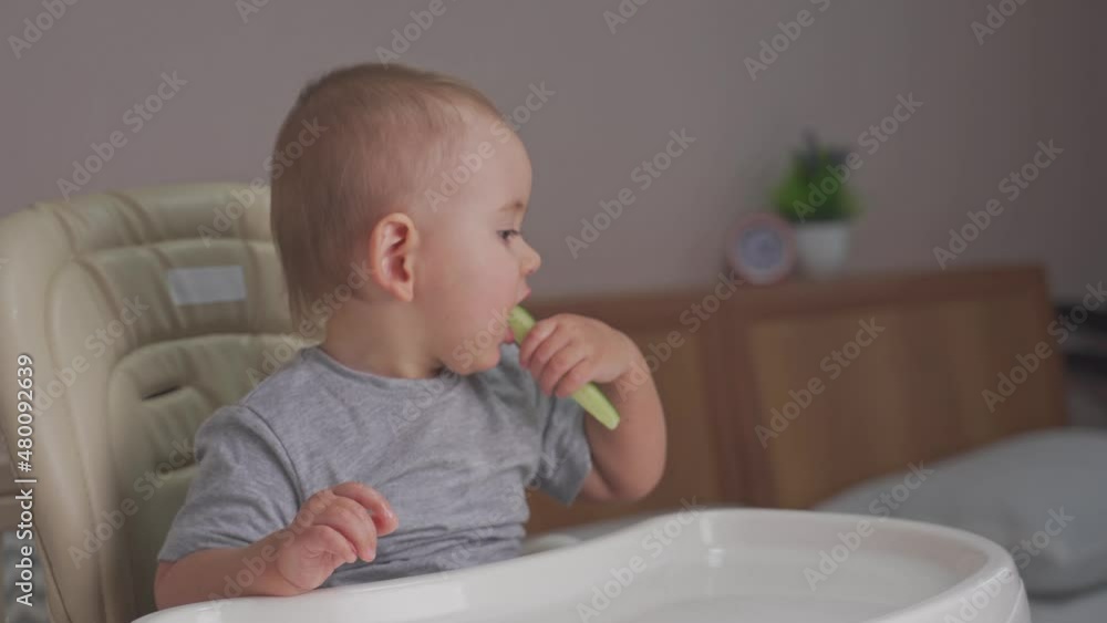 toddler 12-17 months old eats a green cucumber sitting on a feeding chair. Newborn eat cucumber toddler 12-17 months old eats a green cucumber sitting on a feeding chair. Newborn eat cucumber