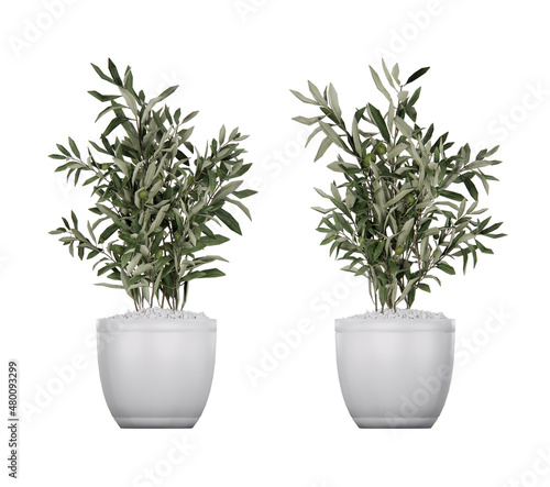 Isometric plant 3d rendering isolated