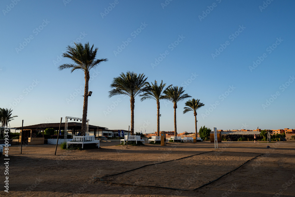 Obraz premium Seascape -view of palm trees, resort beach with sun loungers, umbrellas and the sea. Egypt.