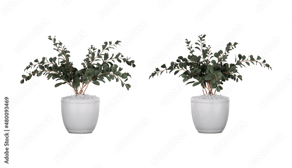 Isometric plant 3d rendering isolated Isometric plant 3d rendering isolated