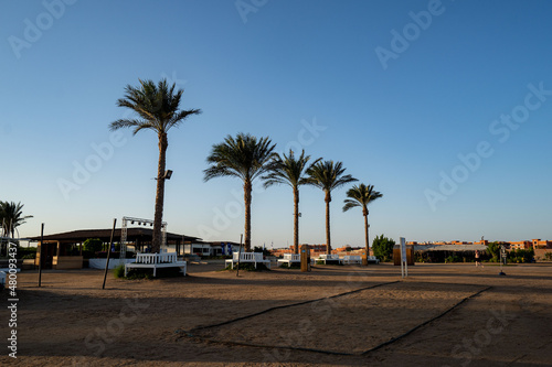 Seascape -view of palm trees, resort beach with sun loungers, umbrellas and the sea. Egypt. © suvorovalex