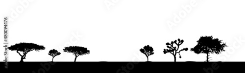 desert landscape tree silhouette