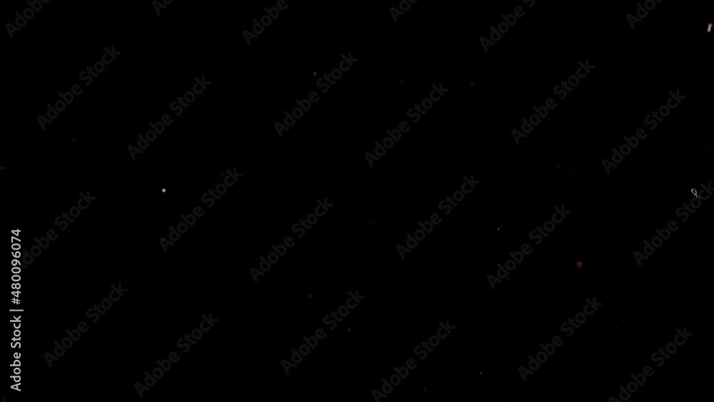 Super slow motion of flying whole star anise spice. Filmed on high speed camera Super slow motion of flying whole star anise spice. Filmed on high speed camera