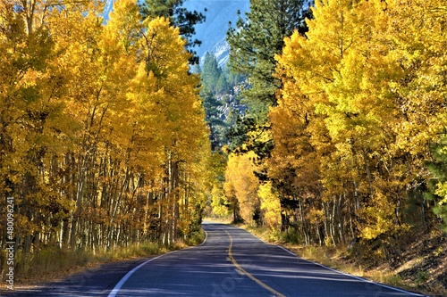 Autumn Trees - State Route 158 is a state highway in the U.S. state of California. Known as the June Lake Loop  it is a loop route of U.S. Route 395 in Mono County.