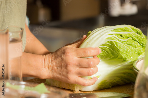 冬の旬の白菜を剥ぐしている主婦の様子 photo