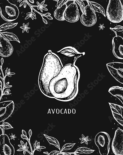 Avocado hand drawn vector. avocado frame. Sketch vector illustration. packaging design. avocado food vector sketch. eps