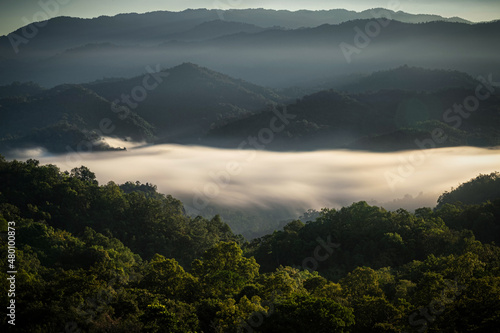 Long exposure foggy with forest foreground and mountain background