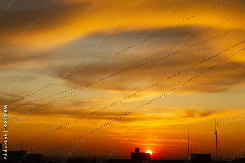 Fototapeta premium sunset in the city