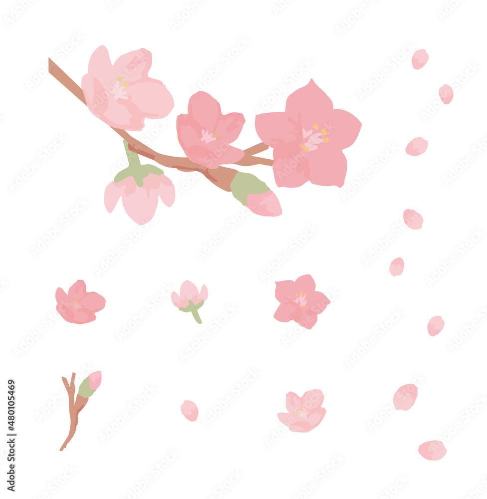 Cherry blossoms_parts