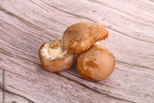 Raw brown champignons mushroom heap
