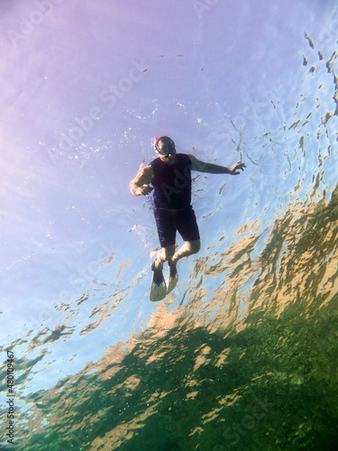 Wallpaper Mural snorkeler  Torontodigital.ca