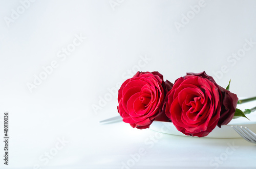 Two red roses put on plate with knife and fork on white background for anniversary and Valentine s day concept.