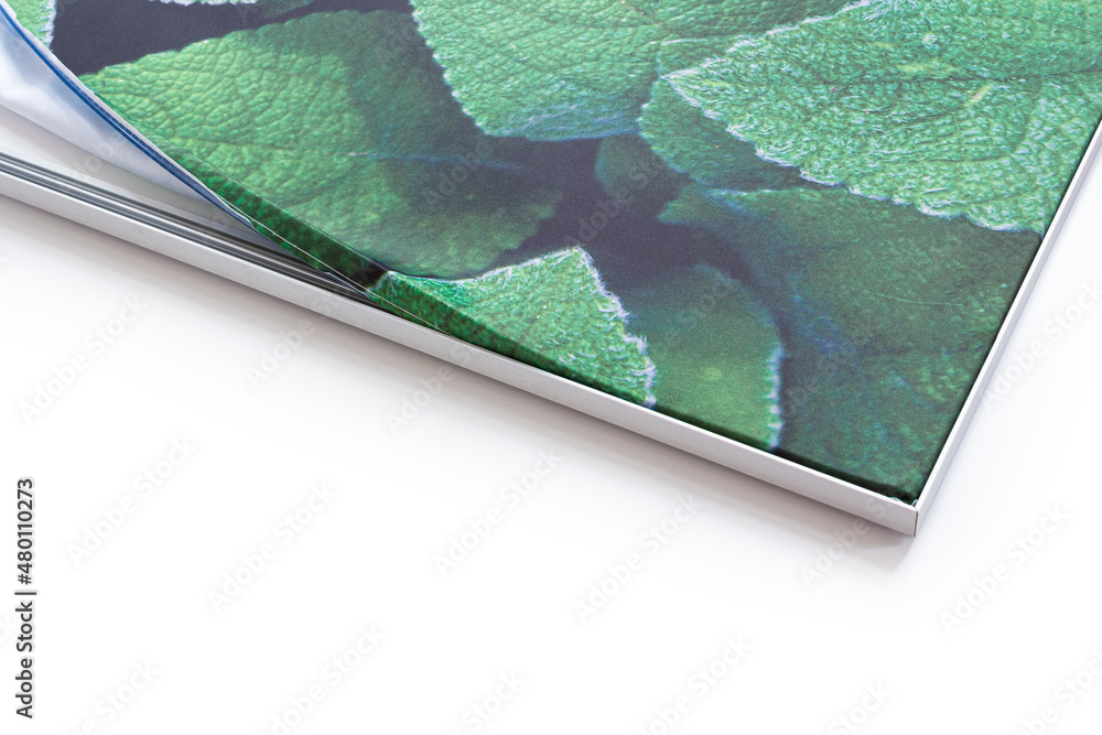 Picture frames for changing advertising.