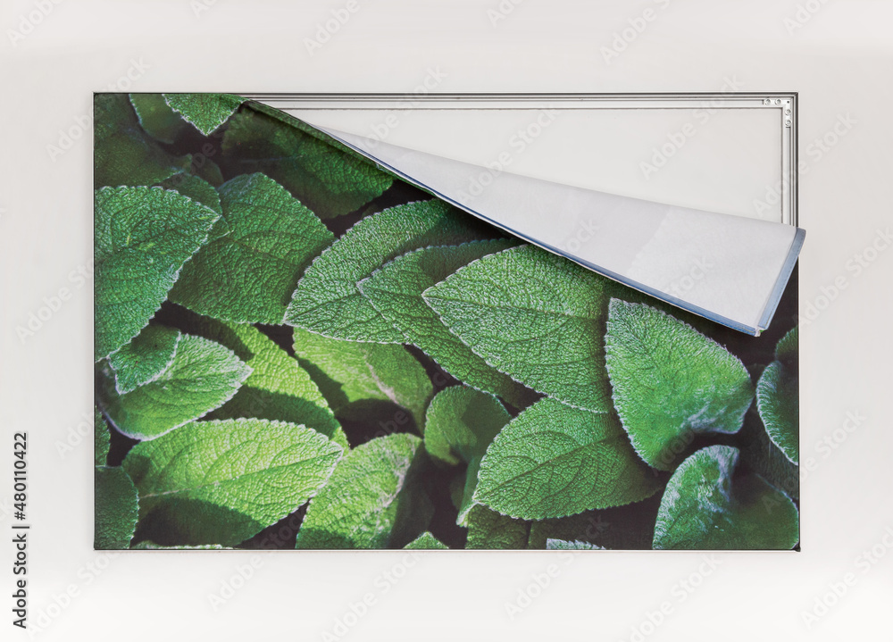 Picture frames for changing advertising.