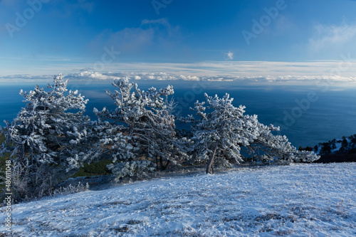 Winter landscape with snow-covered pine trees on the slopes in the mountains of Crimea. Charming fabulous view from Ai-Petri mountain to Alupka. The concept of winter recreation, travel, adventure