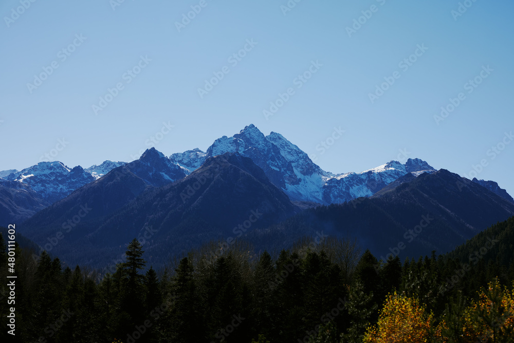 trees panorama open air summer vacation park peak