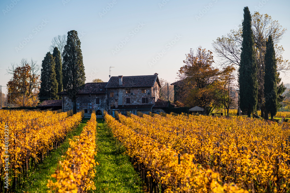 Magic of the village of Villafredda. Between autumn vineyards and historic stones