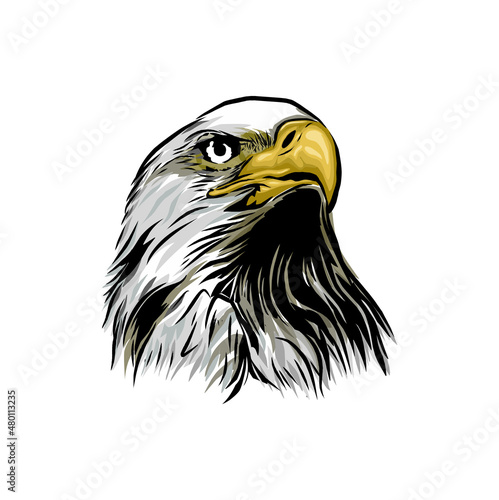 eagle head vector illustrations, hand drawing image