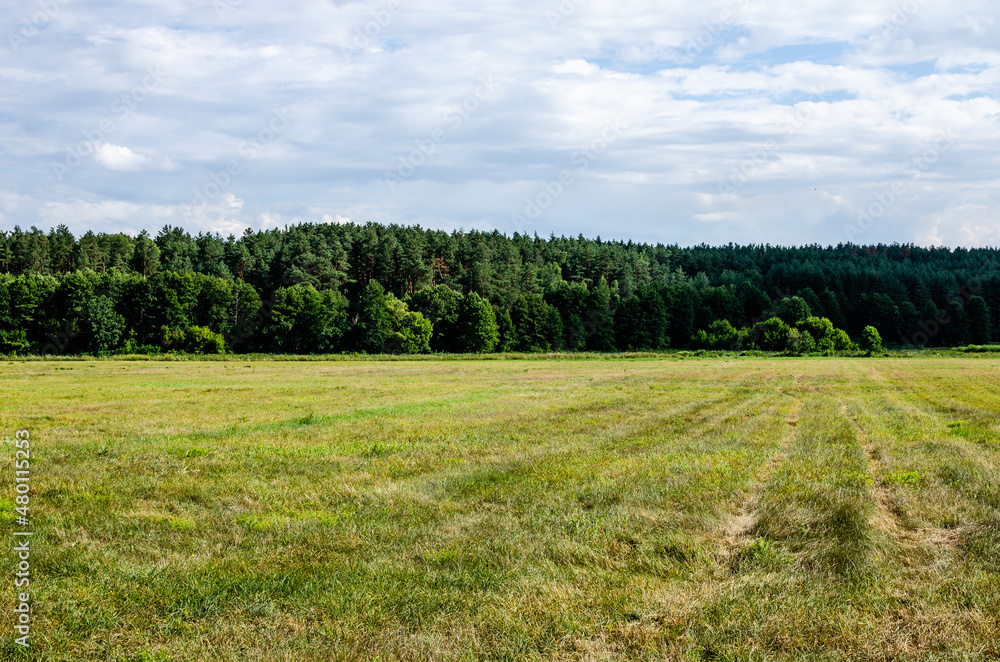Obraz premium An empty meadow where a farmer used to make hay for animal feed.