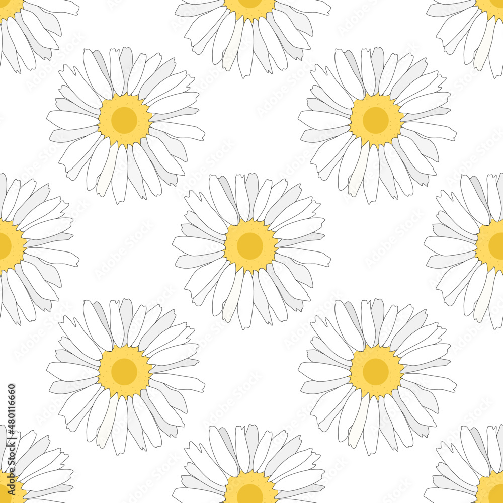 seamless pattern with white daisies seamless pattern with white daisies