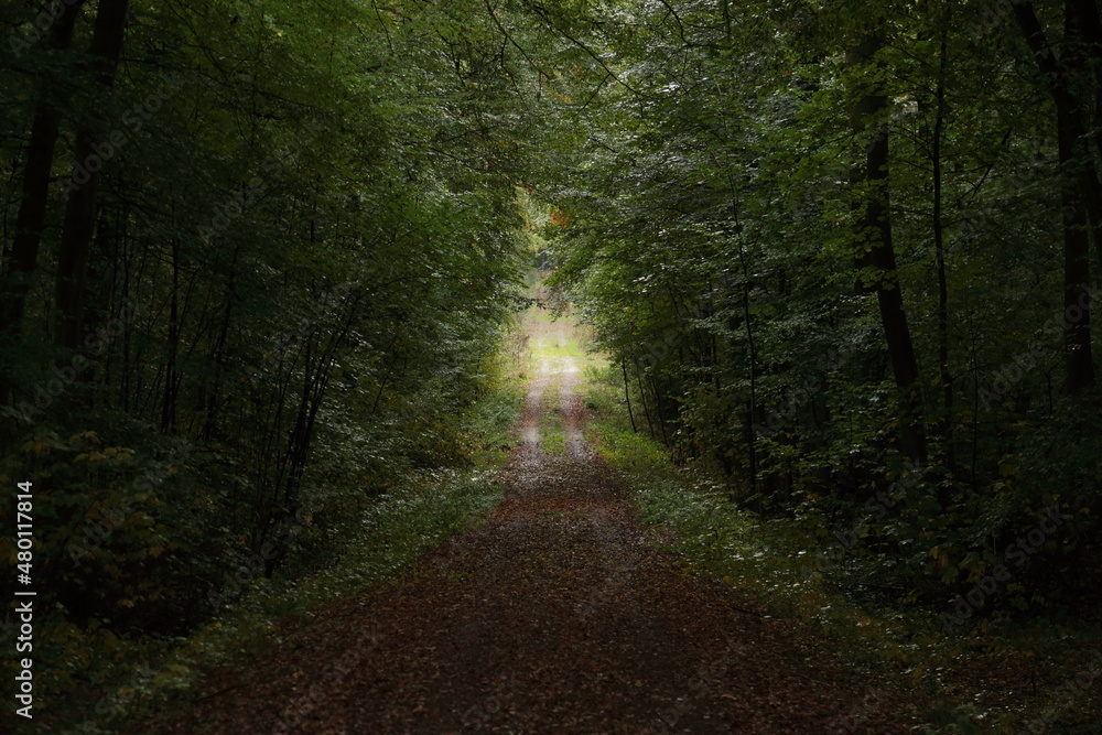Lichtweg 2021 Lichtweg 2021